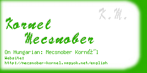 kornel mecsnober business card